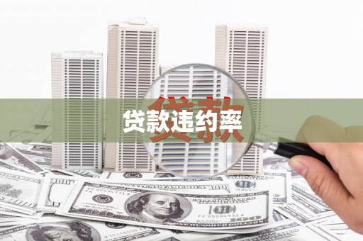 永平贷款违约率
