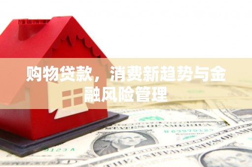 永平购物贷款，消费新趋势与金融风险管理