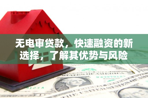 永平无电审贷款，快速融资的新选择，了解其优势与风险