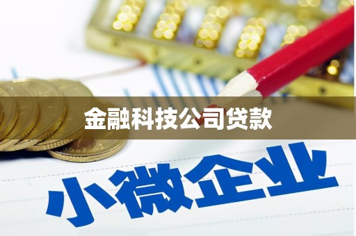 永平金融科技公司贷款