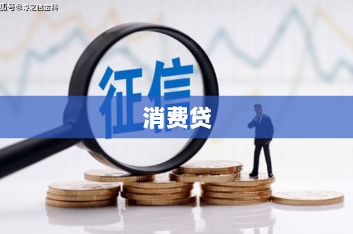 永平消费贷