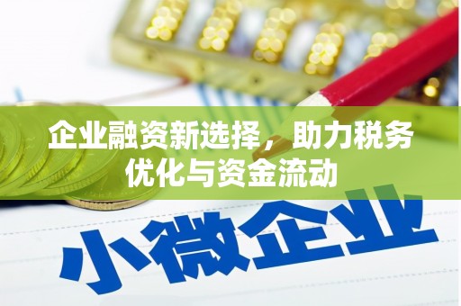 永平企业融资新选择，助力税务优化与资金流动
