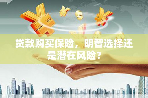 永平贷款购买保险，明智选择还是潜在风险？