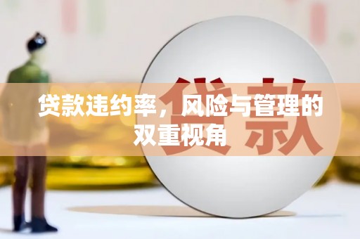 永平贷款违约率，风险与管理的双重视角