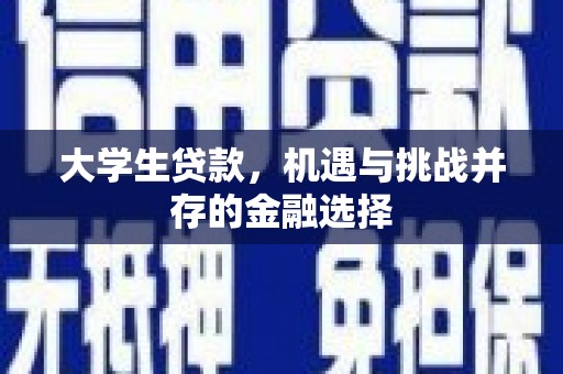 永平大学生贷款，机遇与挑战并存的金融选择