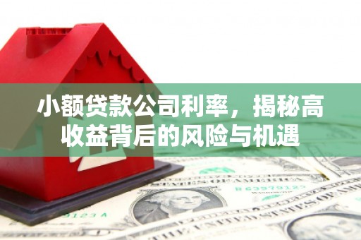 永平小额贷款公司利率，揭秘高收益背后的风险与机遇