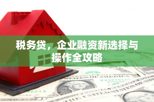 永平税务贷，企业融资新选择与操作全攻略