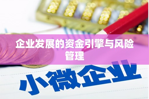 永平企业发展的资金引擎与风险管理