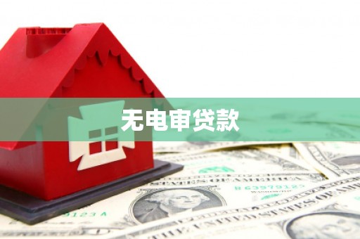 永平无电审贷款