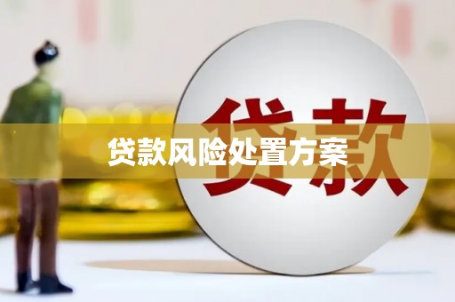 永平贷款风险处置方案