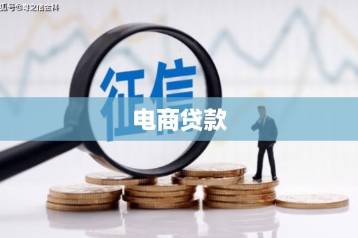 永平电商贷款