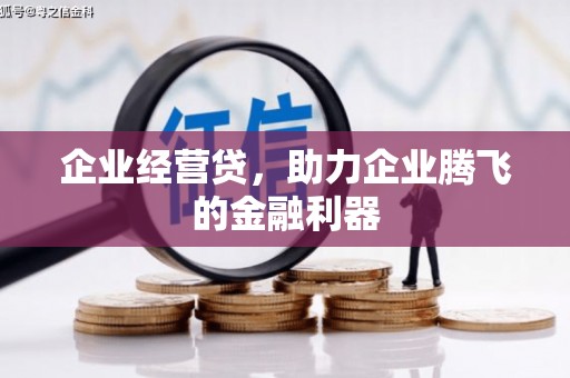 永平企业经营贷，助力企业腾飞的金融利器