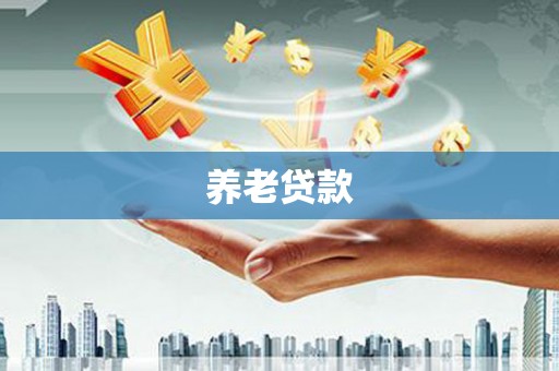 永平养老贷款