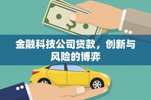 永平金融科技公司贷款，创新与风险的博弈