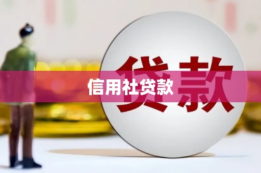 永平信用社贷款