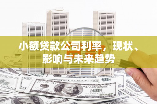永平小额贷款公司利率，现状、影响与未来趋势