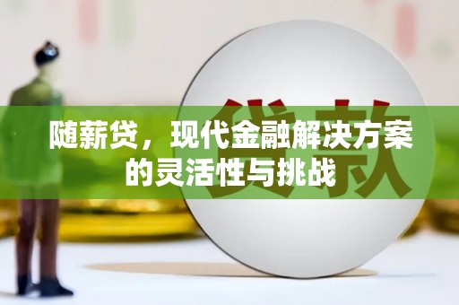 永平随薪贷，现代金融解决方案的灵活性与挑战