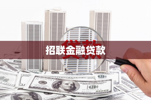 永平招联金融贷款