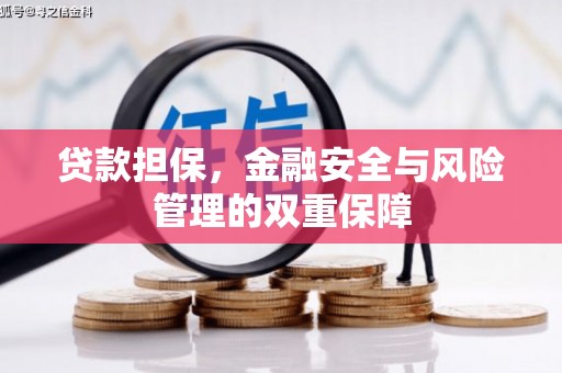 永平贷款担保，金融安全与风险管理的双重保障