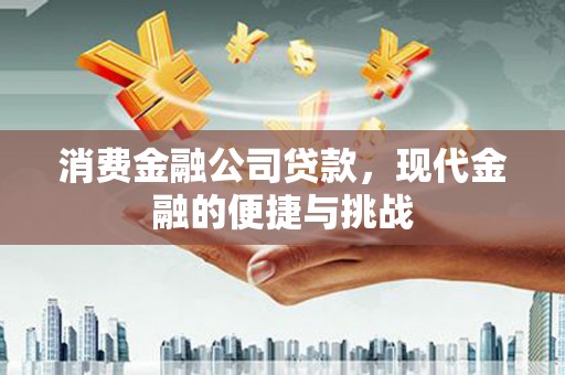 永平消费金融公司贷款，现代金融的便捷与挑战