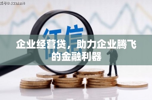 永平企业经营贷，助力企业腾飞的金融利器