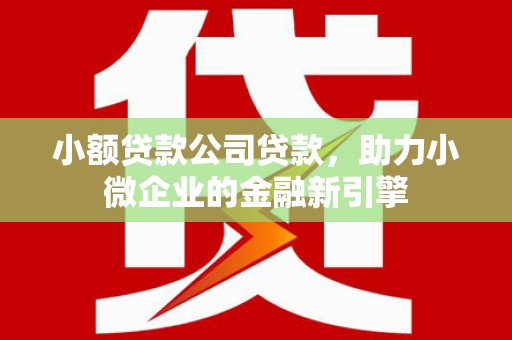 永平小额贷款公司贷款，助力小微企业的金融新引擎