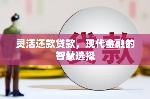 永平灵活还款贷款，现代金融的智慧选择