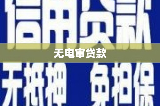 永平无电审贷款