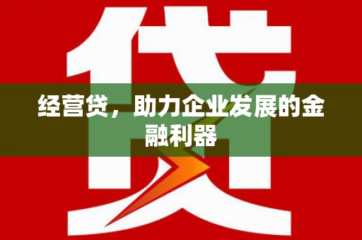 永平经营贷，助力企业发展的金融利器
