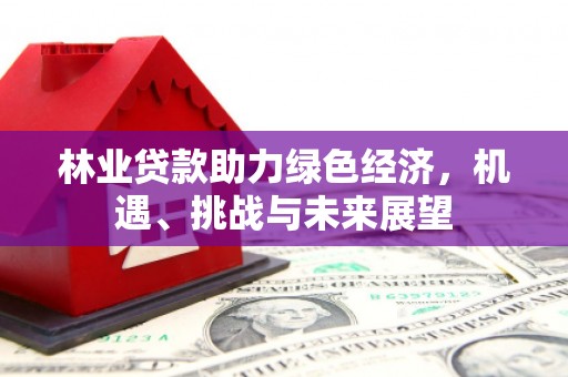 永平林业贷款助力绿色经济，机遇、挑战与未来展望