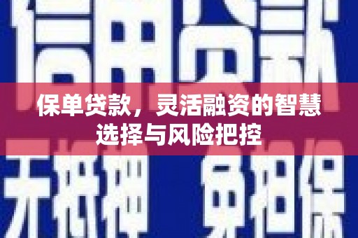 永平保单贷款，灵活融资的智慧选择与风险把控