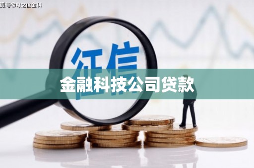 永平金融科技公司贷款