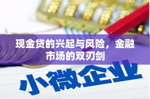 永平现金贷的兴起与风险，金融市场的双刃剑