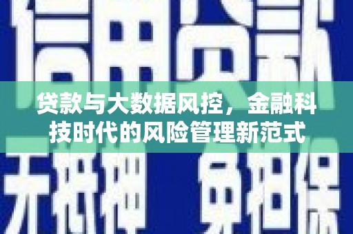 永平贷款与大数据风控，金融科技时代的风险管理新范式