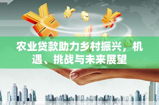 永平农业贷款助力乡村振兴，机遇、挑战与未来展望