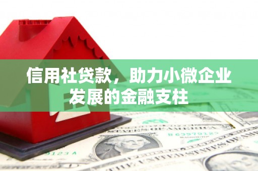 永平信用社贷款，助力小微企业发展的金融支柱