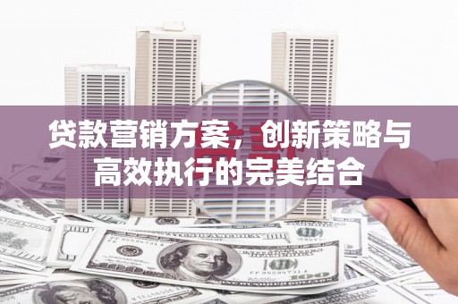 永平贷款营销方案，创新策略与高效执行的完美结合