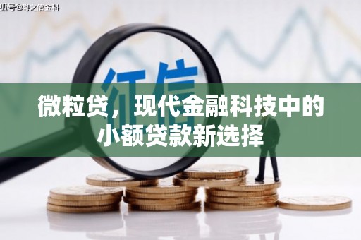 永平微粒贷，现代金融科技中的小额贷款新选择