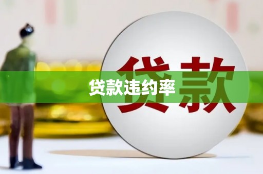 永平贷款违约率