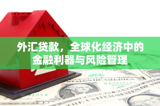 永平外汇贷款，全球化经济中的金融利器与风险管理