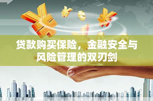 永平贷款购买保险，金融安全与风险管理的双刃剑