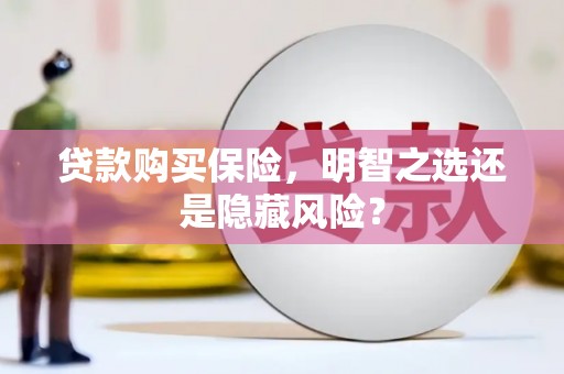 永平贷款购买保险，明智之选还是隐藏风险？