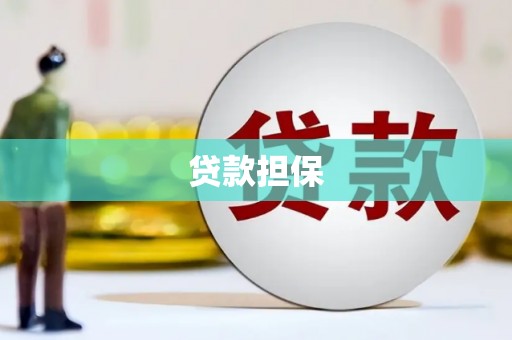 永平贷款担保