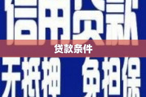 永平贷款条件