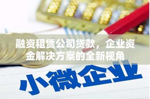 永平融资租赁公司贷款，企业资金解决方案的全新视角