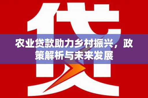 永平农业贷款助力乡村振兴，政策解析与未来发展