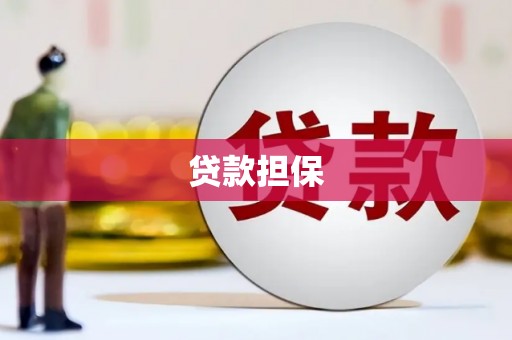 永平贷款担保