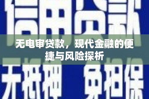 永平无电审贷款，现代金融的便捷与风险探析