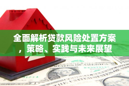 永平全面解析贷款风险处置方案，策略、实践与未来展望