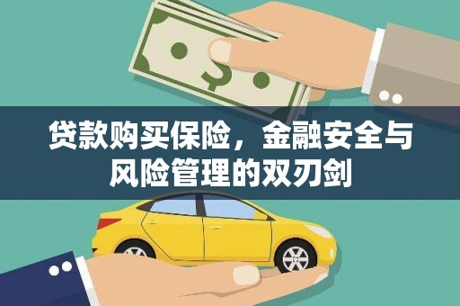 永平贷款购买保险，金融安全与风险管理的双刃剑